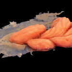 Silicone Evisceration Prosthetic