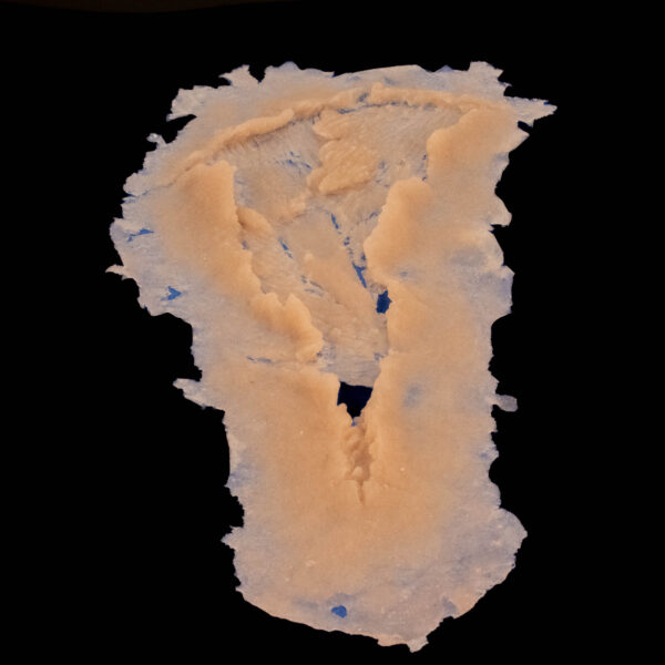 Silicone Prosthetic Large Laceration