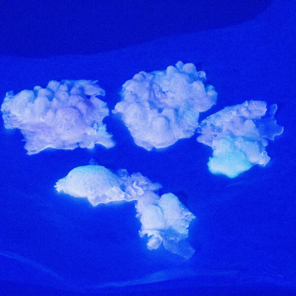 Silicone UV Reactive and Glow in the Dark Blister Clusters Small Pack