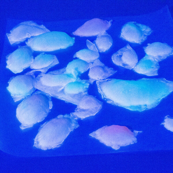 Silicone UV Reactive and Glow in the Dark Blister Pack