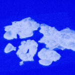 Silicone UV Reactive Blister Clusters Natural Color Large Pack