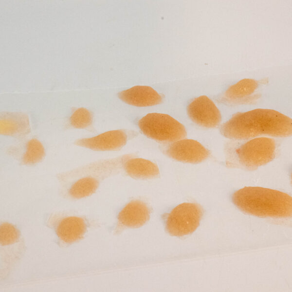 Silicone Prosthetic Thermal and Chemical Blisters