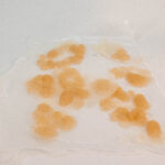 Silicone Prosthetic Thermal and Chemical Blister Clusters