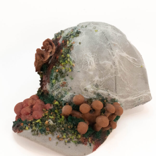 Deadly Fungi Hat