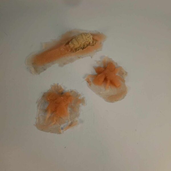 Silicone Prosthetics Buggin' Out Pack