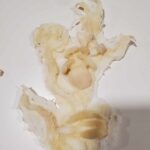 Creeping Vining Fungus