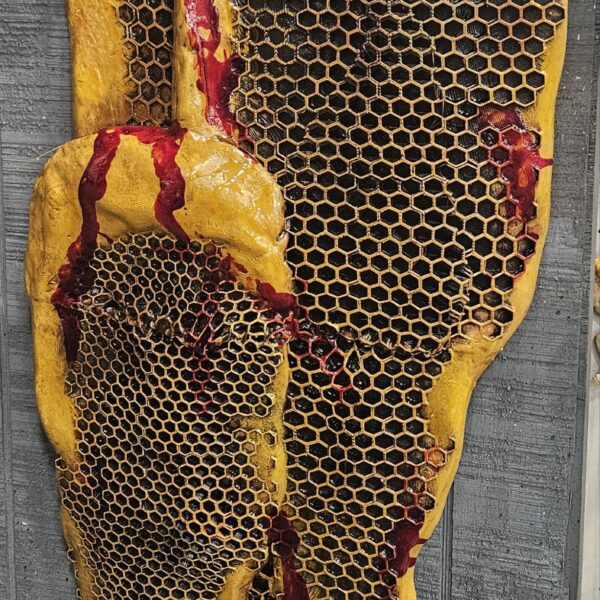 Honeycomb Wall Hanger